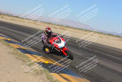 media/Nov-12-2023-SoCal Trackdays (Sun) [[5d1fba4e7d]]/Turn 14 Inside (2pm)/